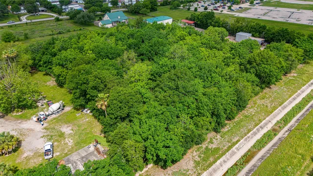 a view of a garden with a flower plants