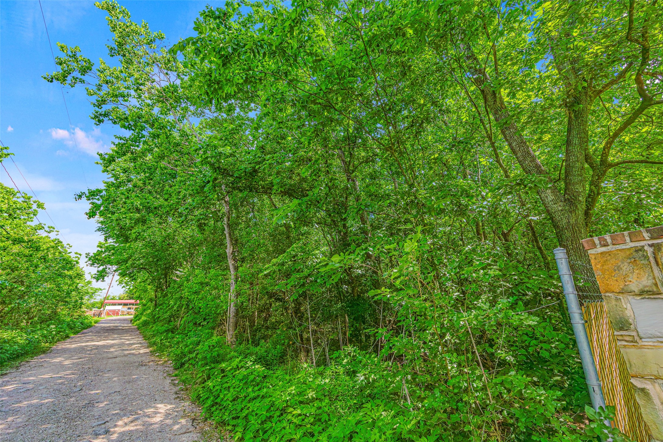 0 Allen-Genoa Road Pasadena, TX 77504 - Photo 8 of 10 a view of a yard with plants and large trees