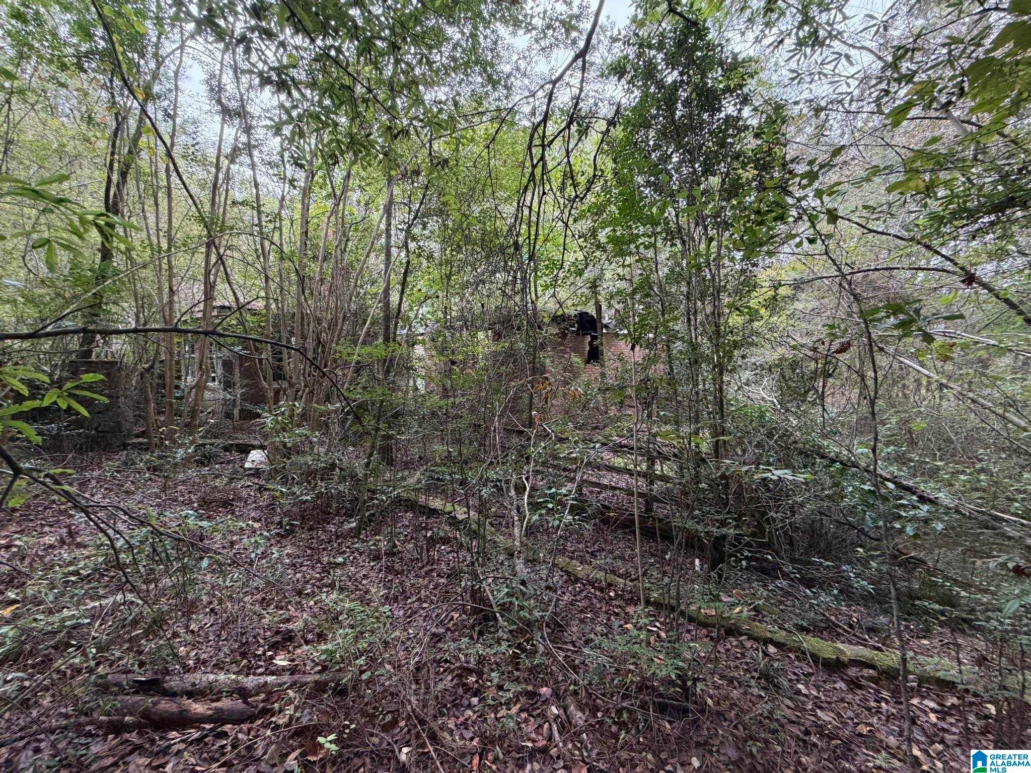 0 Dearmanville Road Anniston, AL 36207 - Photo 14 of 28 Gallery Image 14
