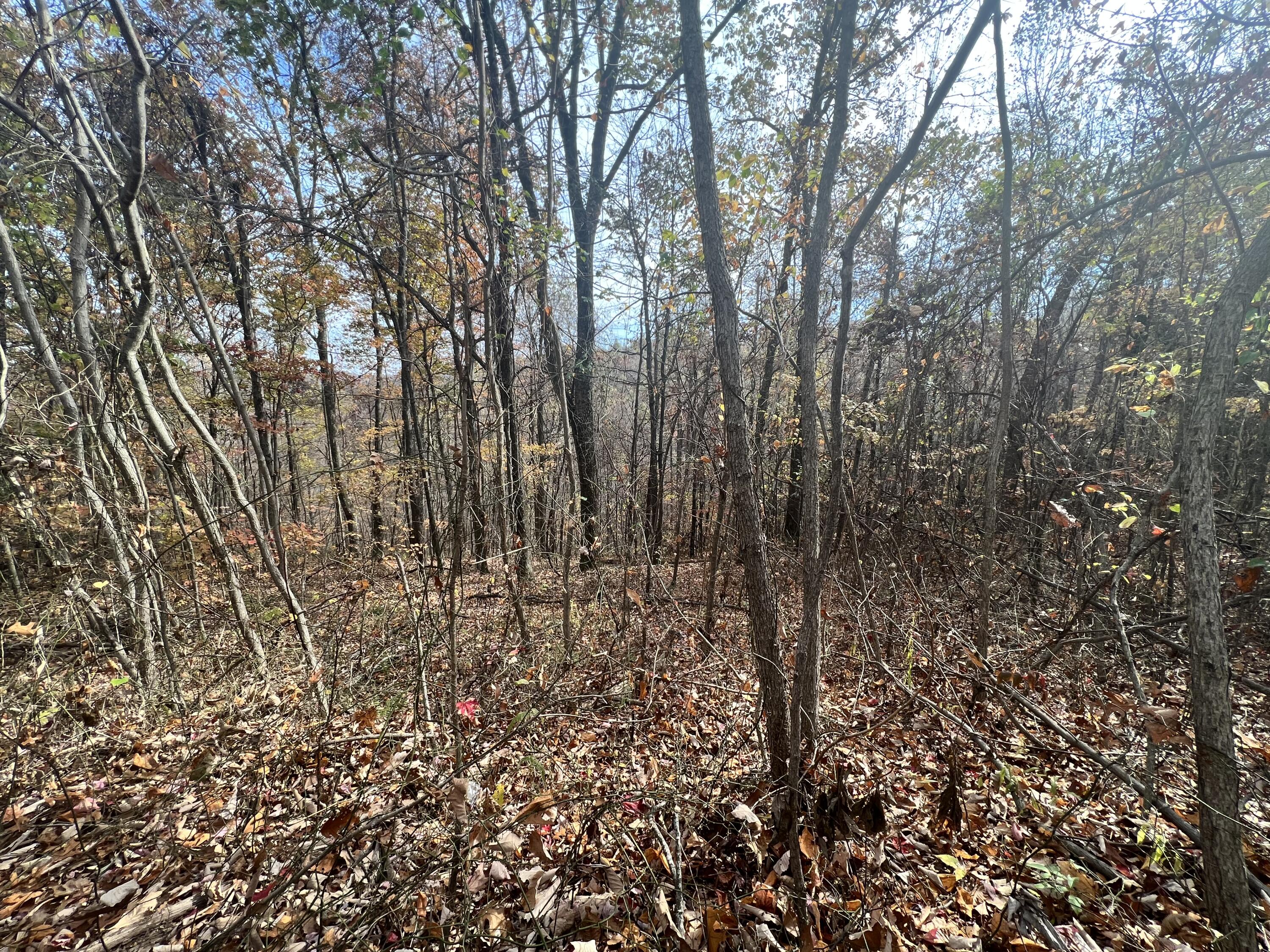 9999 Bar Creek Road Oneida, KY 40972 - Photo 14 of 15 FC94C8CD-5BF1-4A99-829A-8DB9E8BA6E7F