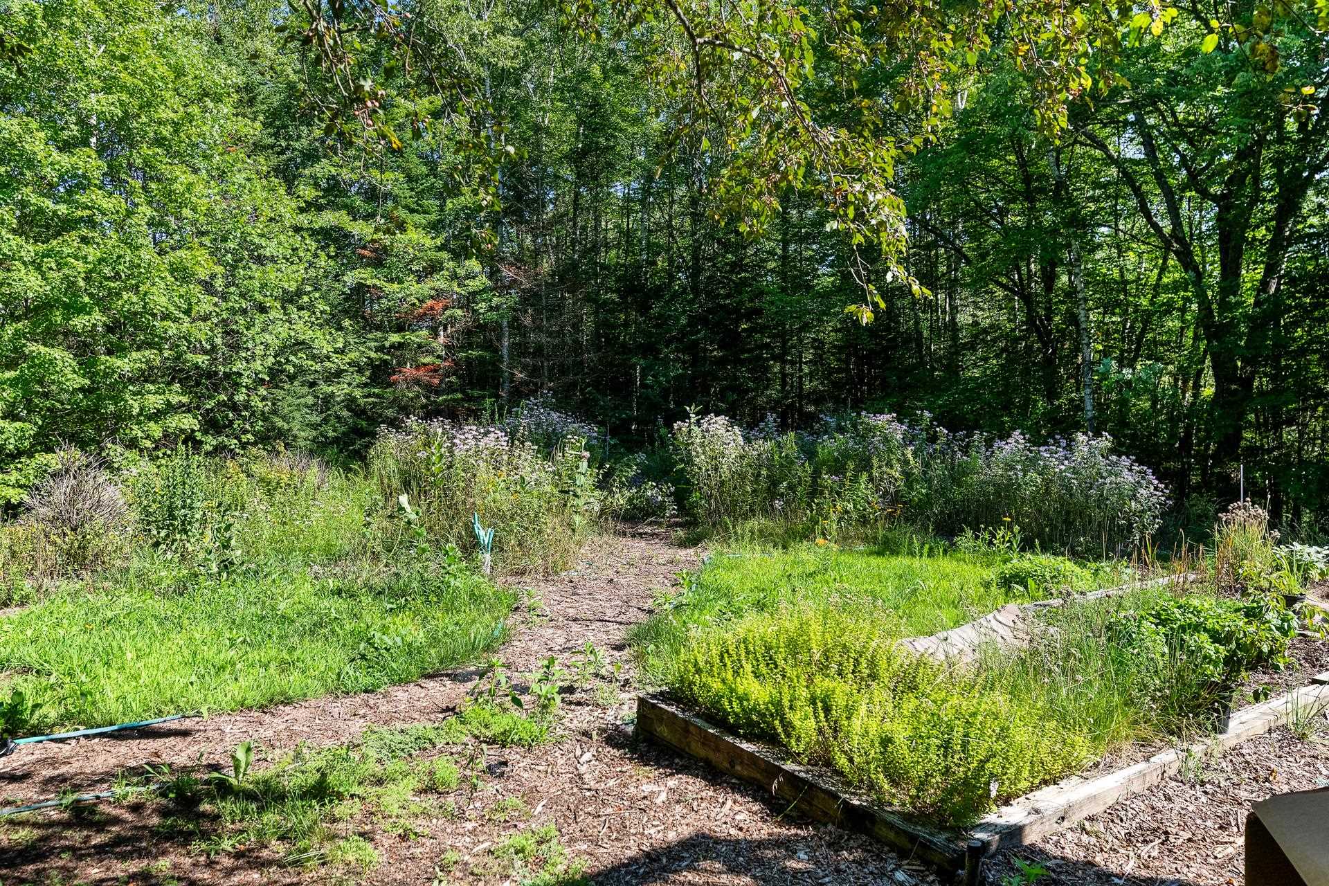 274 New Aldrich Road Grantham, NH 03753 - Photo 50 of 54 Gallery Image 50