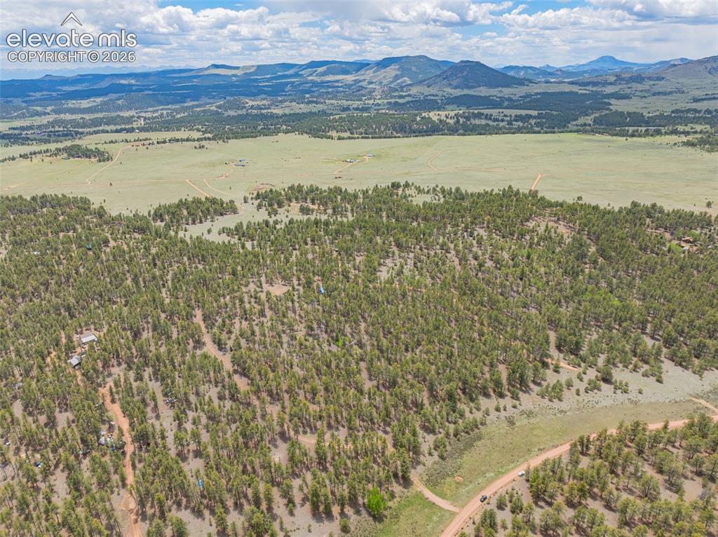 4250 Doe Valley Road Guffey, CO 80820 - Photo 31 of 35