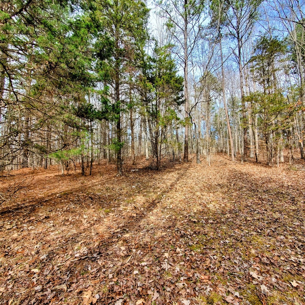 755 Allgood Road Chase City, VA 23924 - Photo 28 of 35 Gallery Image 28