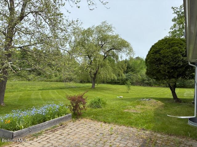 42 Mt Washington Road Egremont, MA 01230 - Photo 20 of 20 IMG_6868