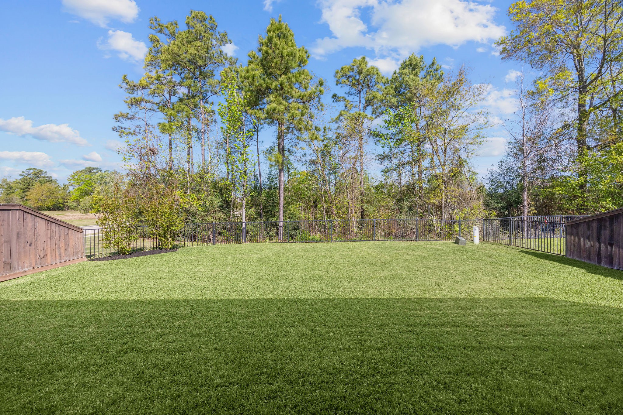 13103 Six Rivers Drive Humble, TX 77346 - Photo 30 of 44 Enjoy serene backyard views from every angle.
