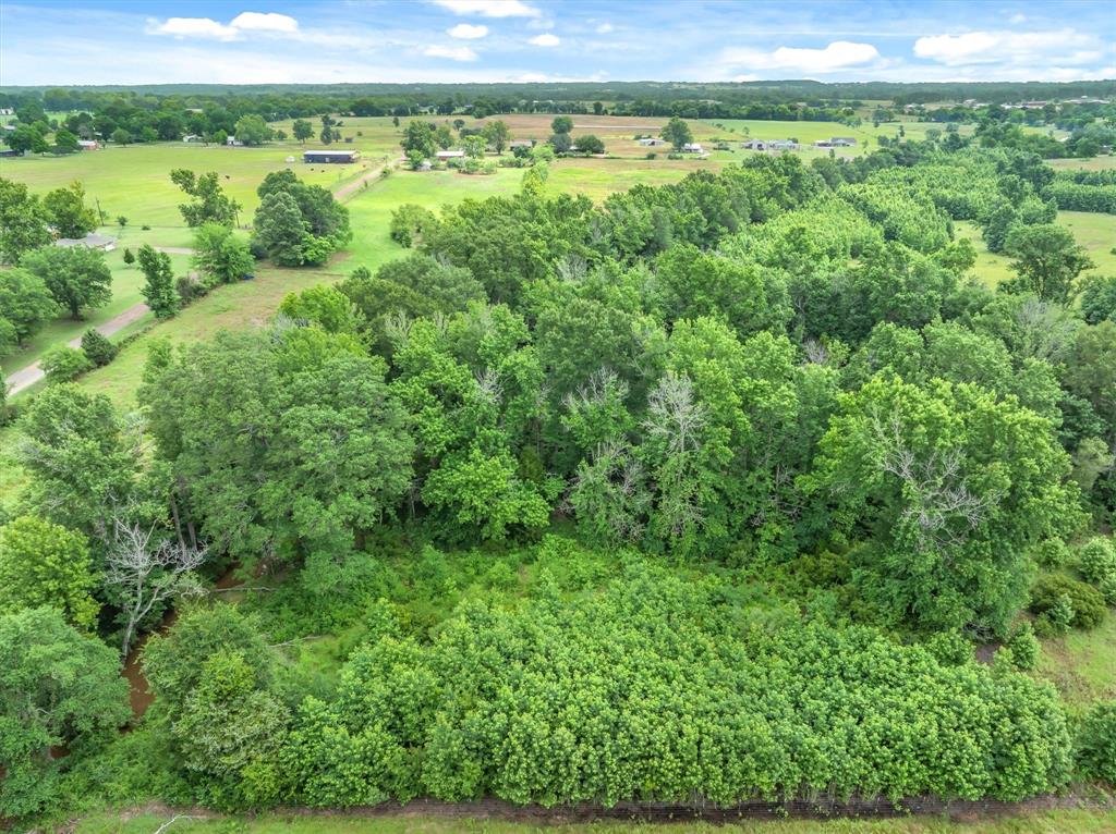 283 Vz County Road Canton, TX 75103 - Photo 12 of 14