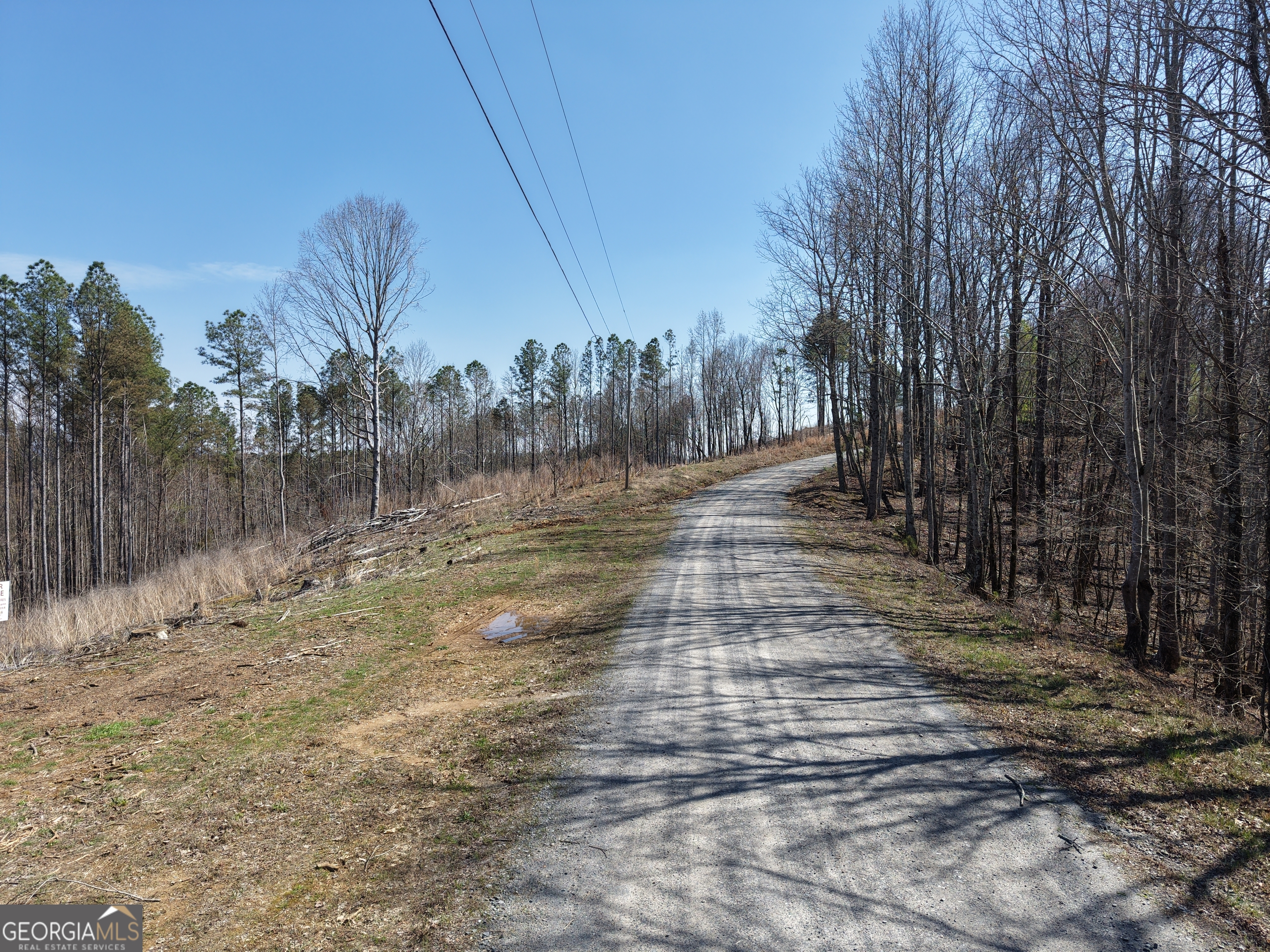 0 Angel Road, Unit 7206 PARCEL F Fairmount, GA 30139 - Photo 4 of 40 Gallery Image 4
