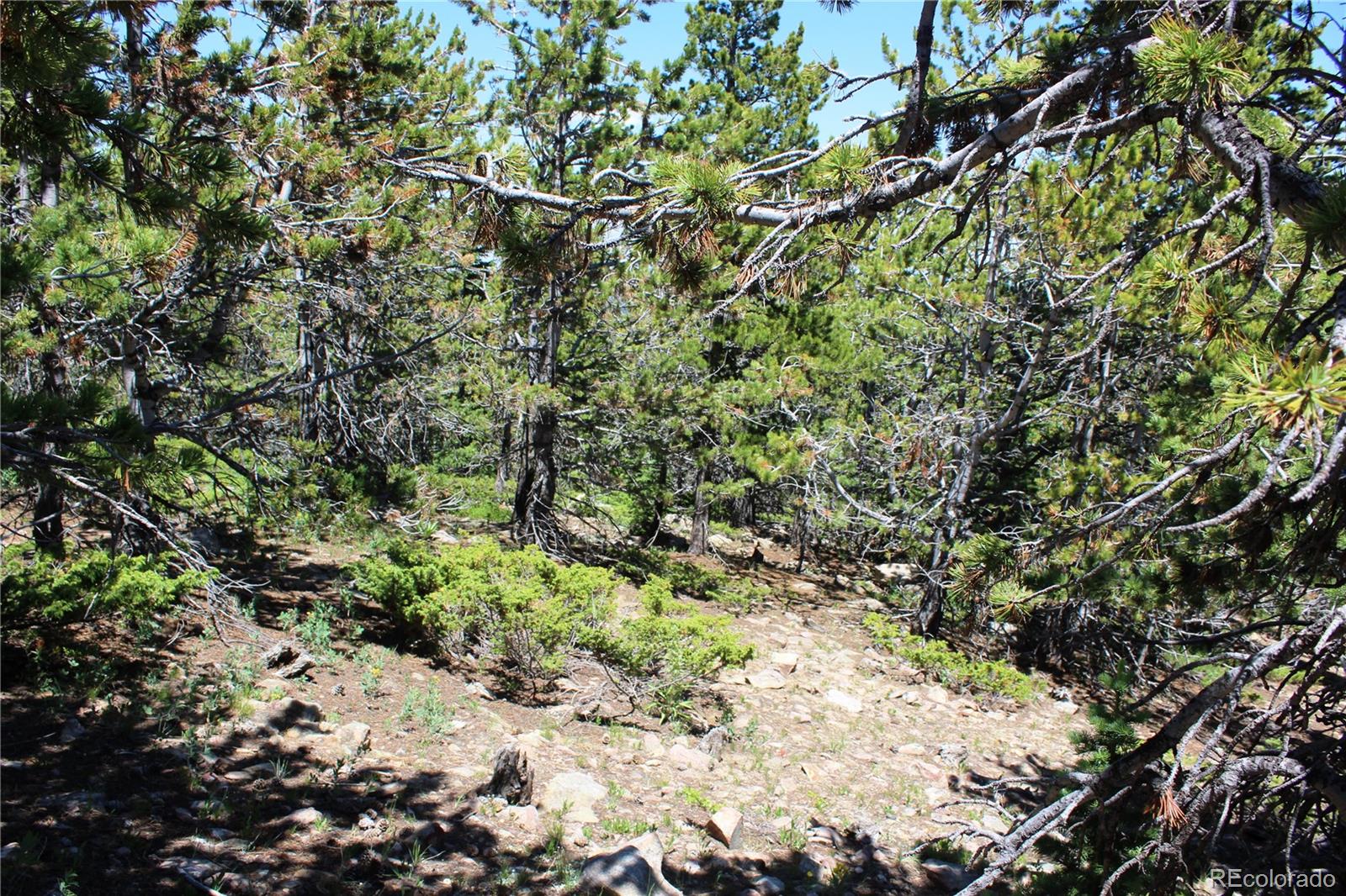 1595 Missouri Gulch Road Black Hawk, CO 80422 - Photo 13 of 49