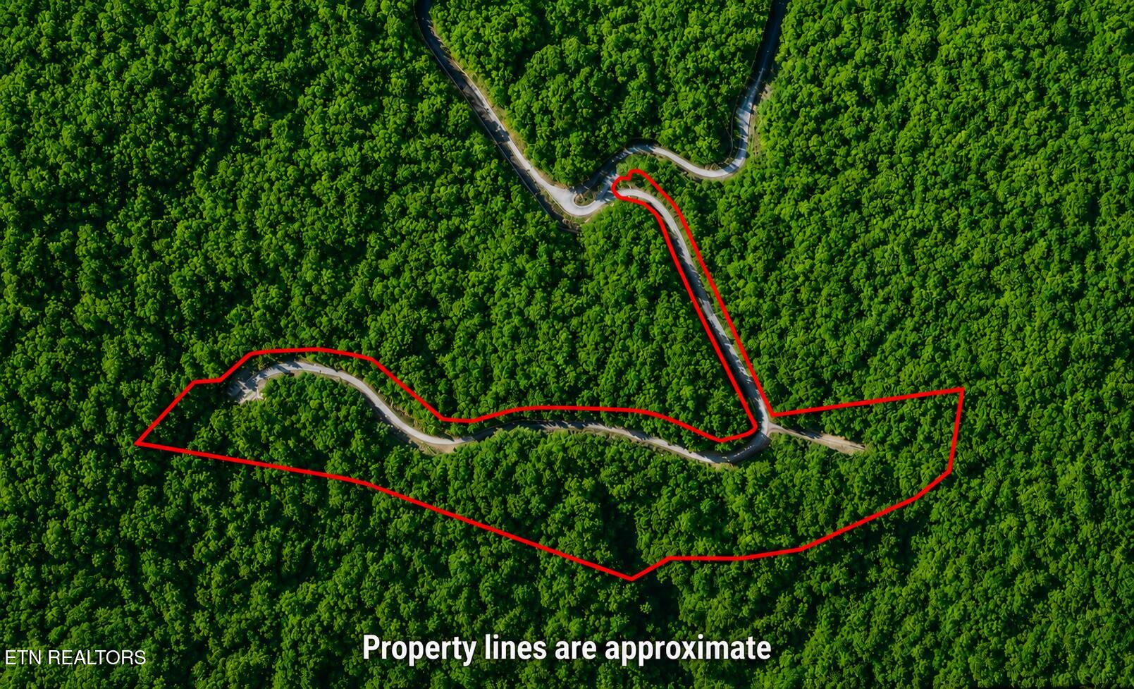 Lot 41 Black Maple Way Del Rio, TN 37727 - Photo 2 of 23 Black Maple Way with approx property lin