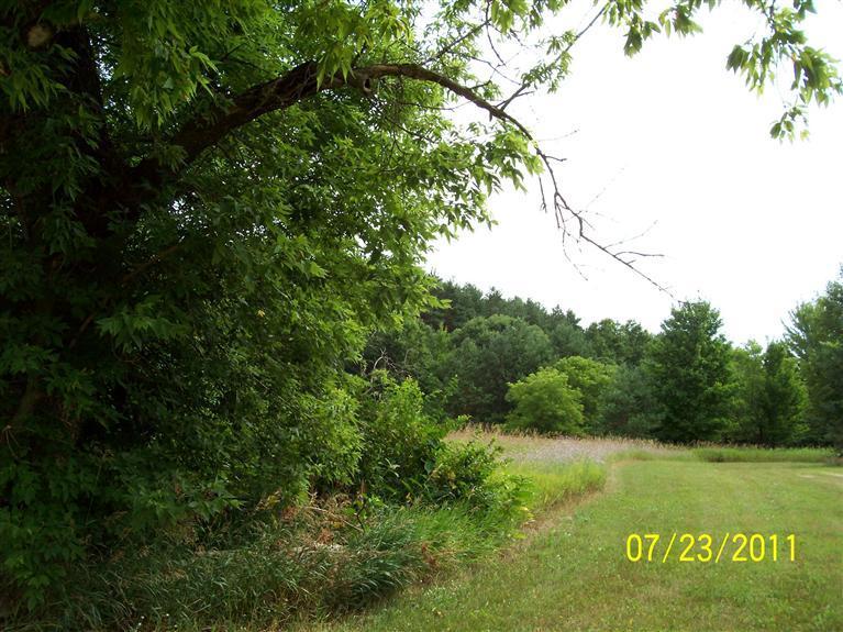 10880 Nimberger Road Lakeview, MI 48850 - Photo 1 of 6 Primary Photo
