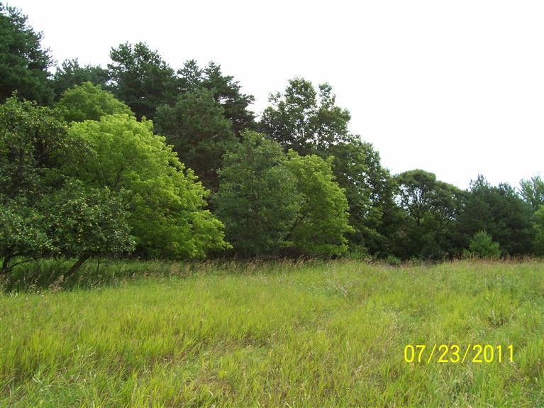 10880 Nimberger Road Lakeview, MI 48850 - Photo 2 of 6 Additional Photo