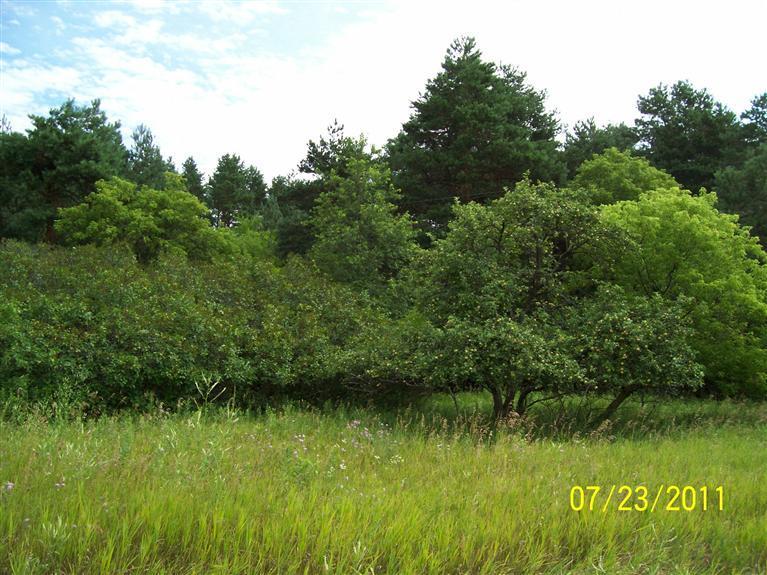 10880 Nimberger Road Lakeview, MI 48850 - Photo 3 of 6 Additional Photo