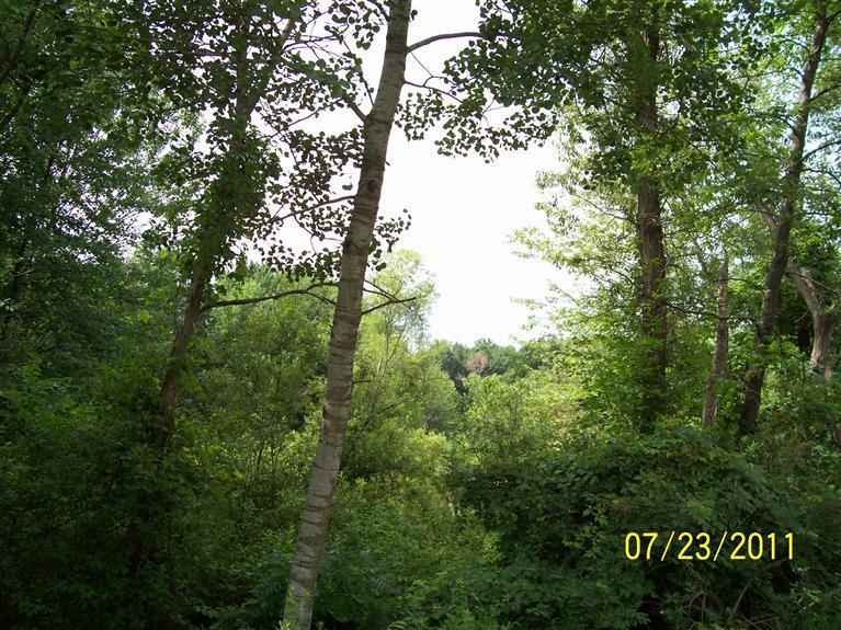 10880 Nimberger Road Lakeview, MI 48850 - Photo 6 of 6 Additional Photo