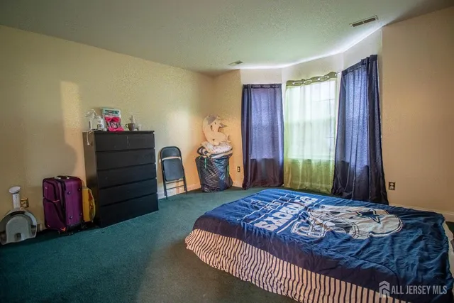 a large bedroom with a bed and a closet