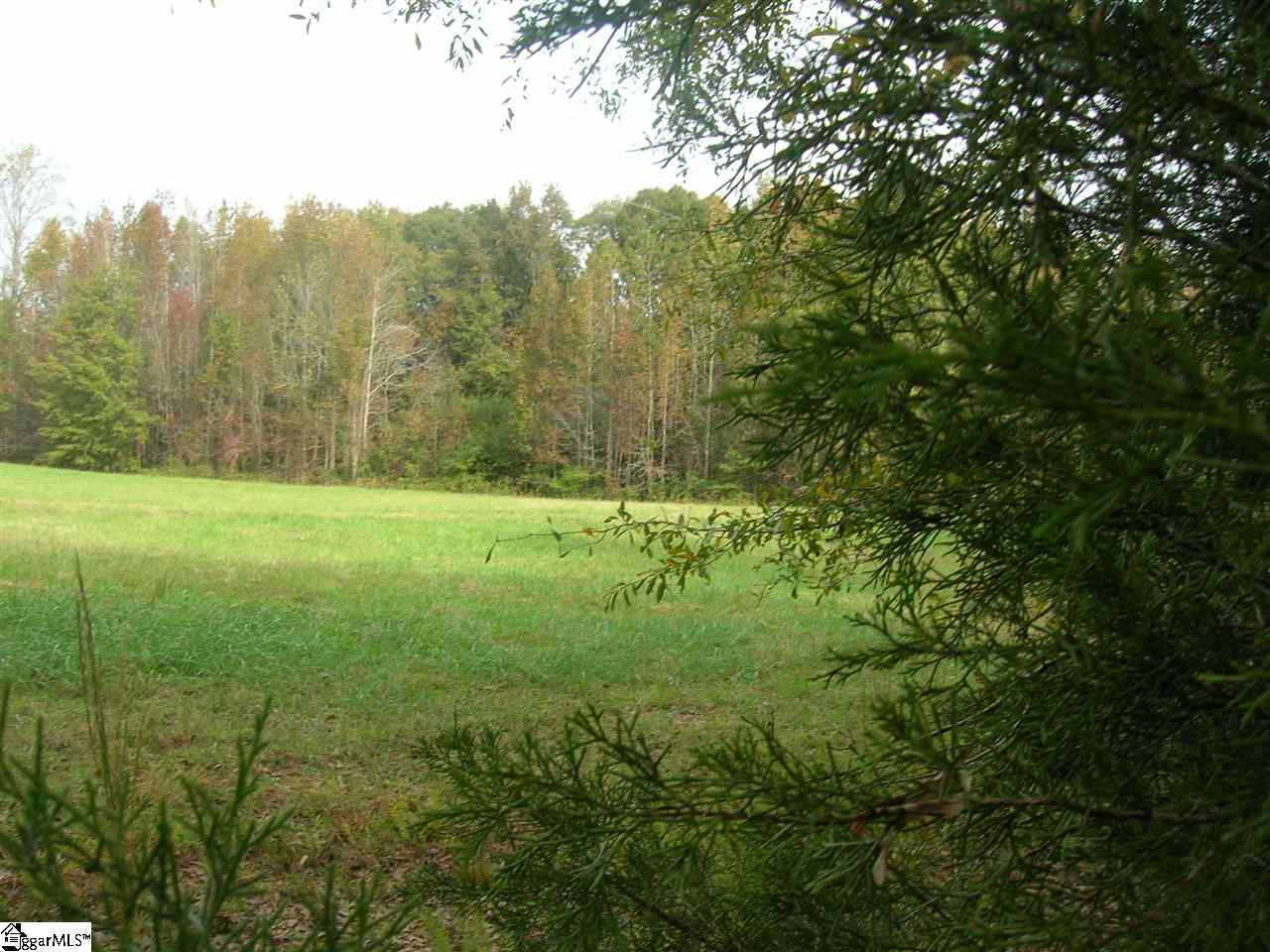 1075 Kist Road Greer, SC 29651 - Photo 1 of 7 Gallery Image 1