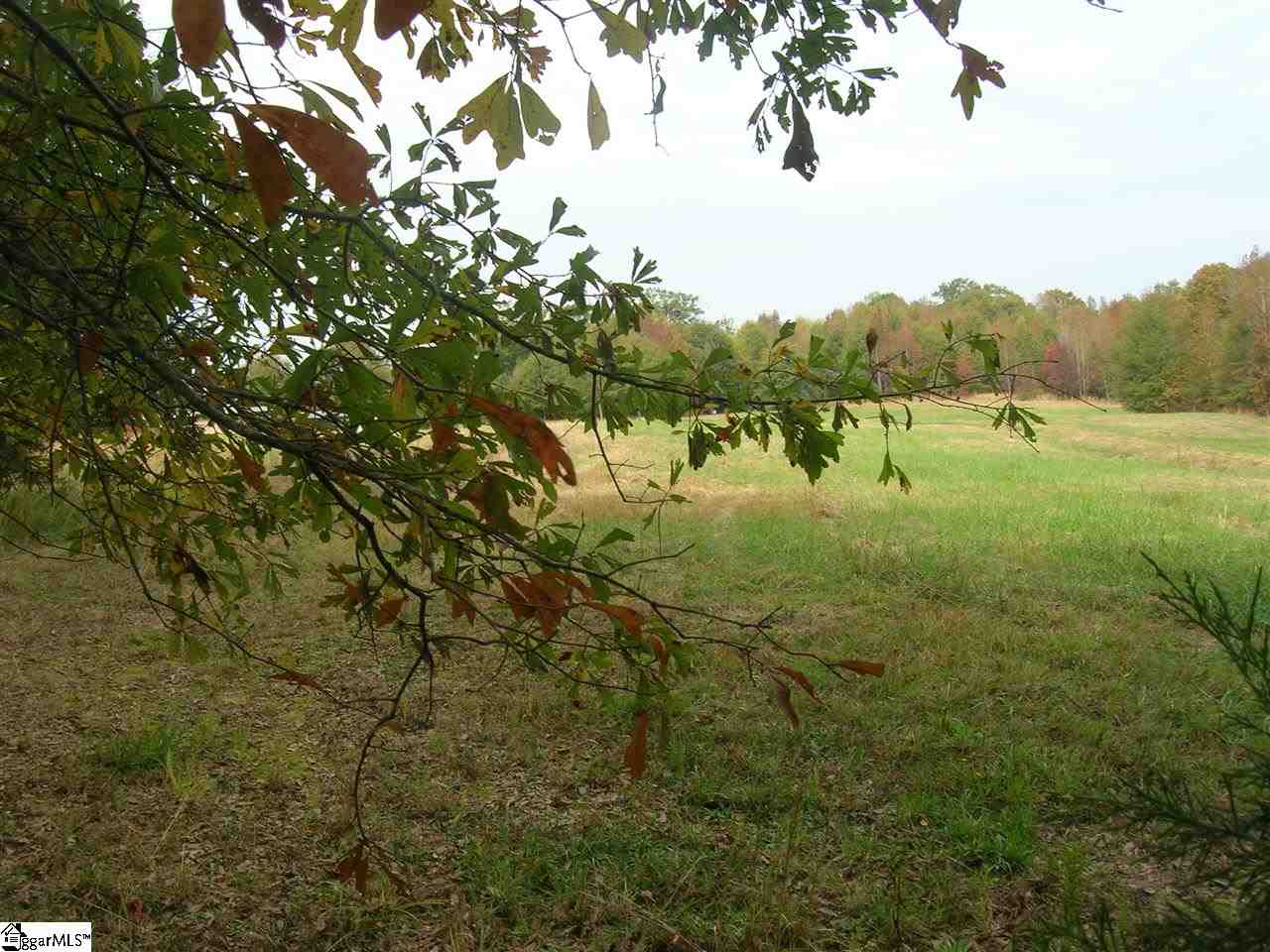 1075 Kist Road Greer, SC 29651 - Photo 6 of 7 Gallery Image 6