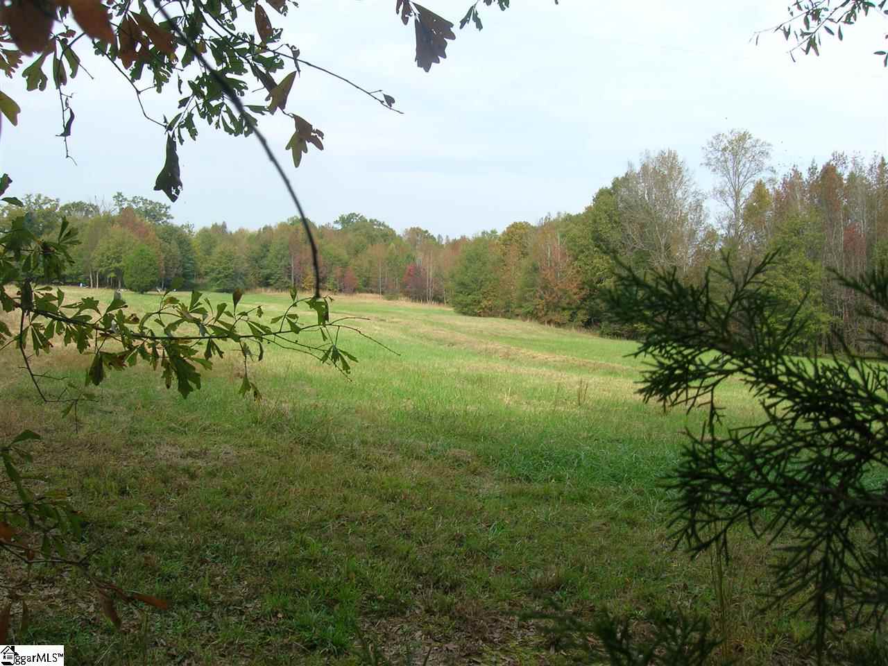 1075 Kist Road Greer, SC 29651 - Photo 7 of 7 Gallery Image 7