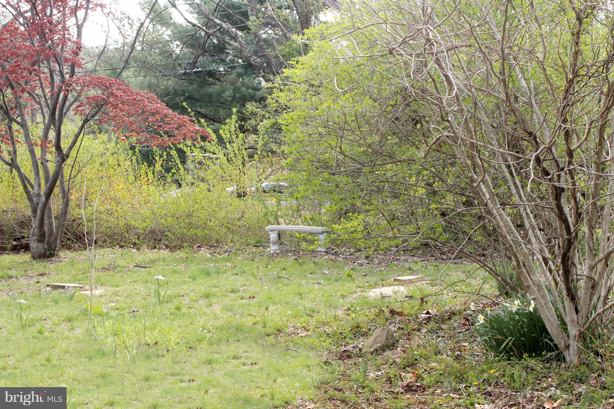 18082 Raven Rocks Road Round Hill, VA 20141 - Photo 8 of 9 a backyard of a house with large trees and wooden fence