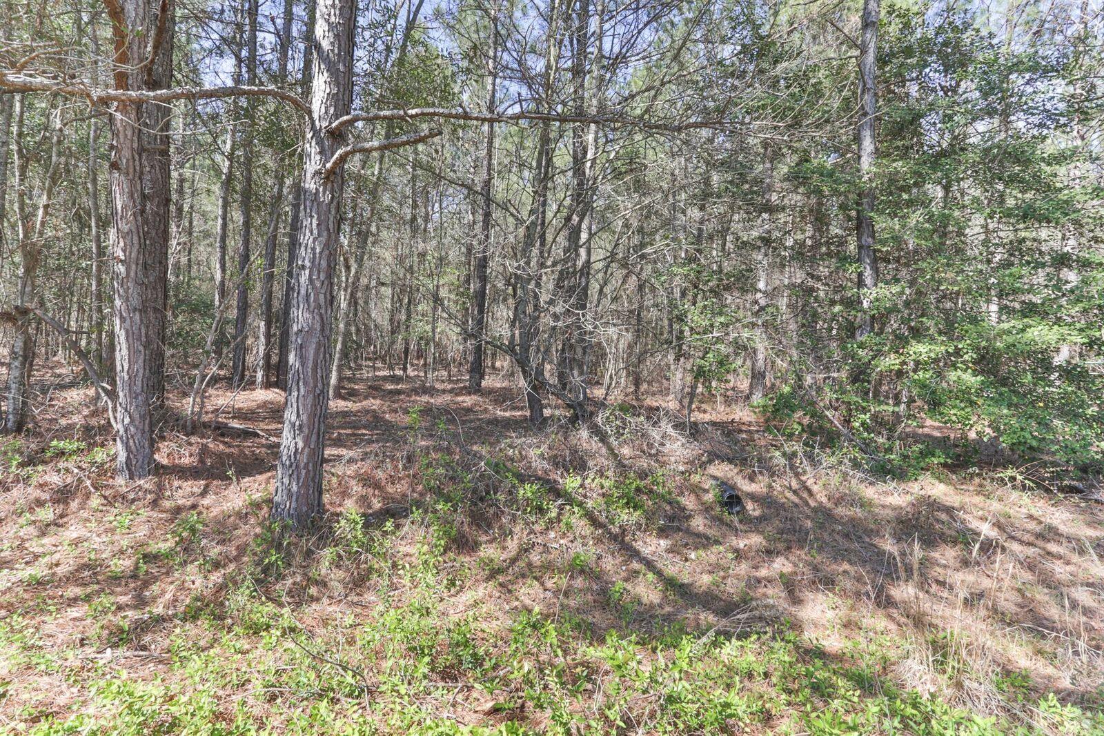 107 Wright Lane Rockingham, NC 28379 - Photo 28 of 37 1O8A5664_preview.jpeg