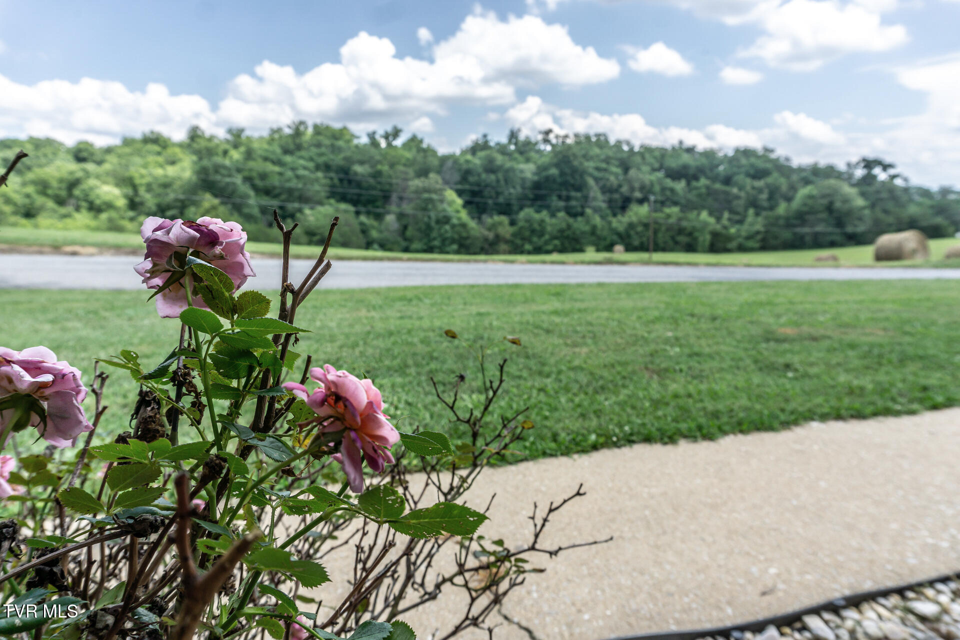 265 Black Road Greeneville, TN 37743 - Photo 58 of 62 265BlackM_009