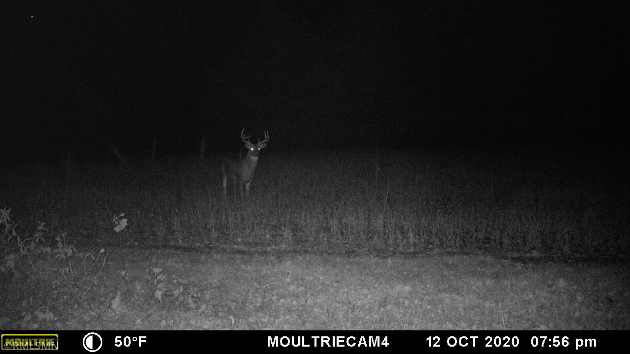 2 Fort Ripley Mn 56449 Fort Ripley, MN 56449 - Photo 27 of 38 Gallery Image 27