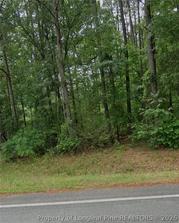 a view of a yard with a trees