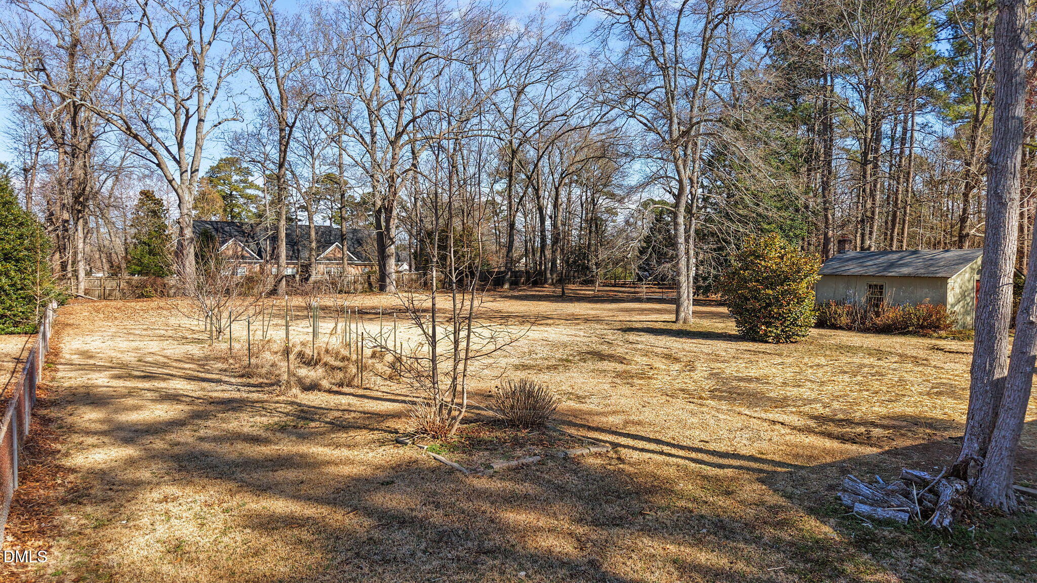3738 Red Oak Battleboro Road Battleboro, NC 27809 - Photo 44 of 53 a view of yard with trees