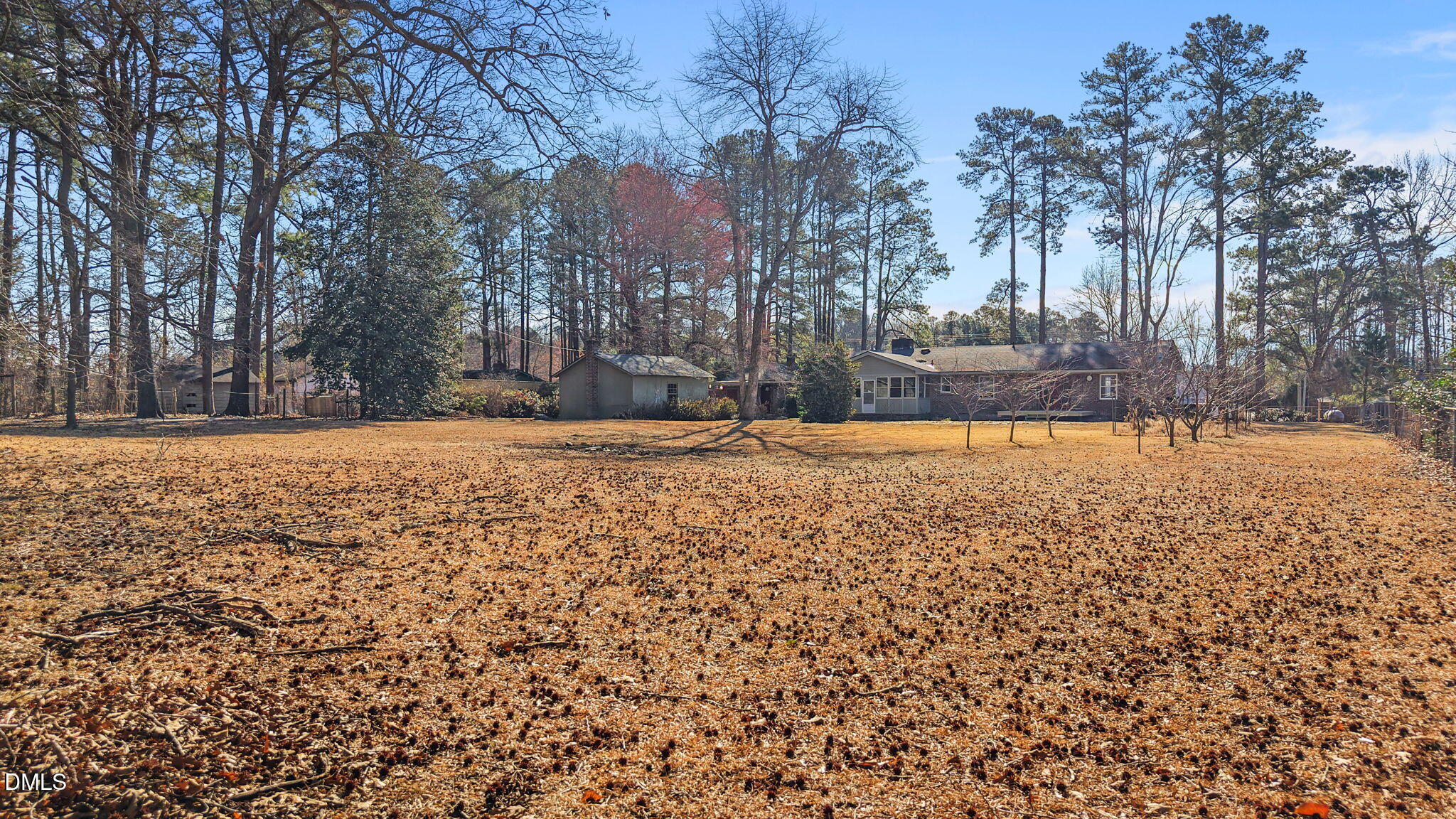 3738 Red Oak Battleboro Road Battleboro, NC 27809 - Photo 45 of 53 a view of a yard with trees