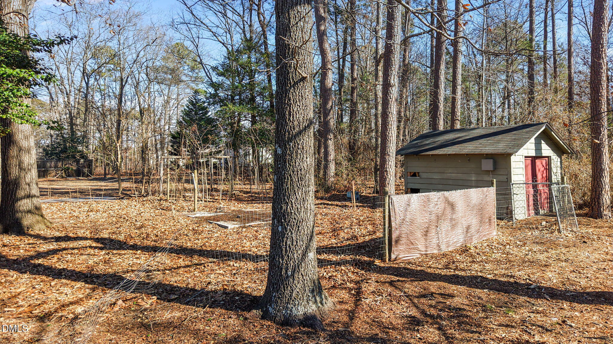 3738 Red Oak Battleboro Road Battleboro, NC 27809 - Photo 46 of 53 a view of a house with trees next to a yard