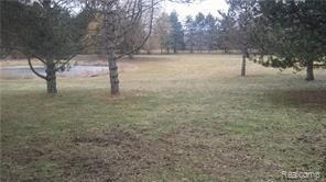 14880 Pine Knoll Road Capac, MI 48014 - Photo 26 of 34 Front Yard.jpg