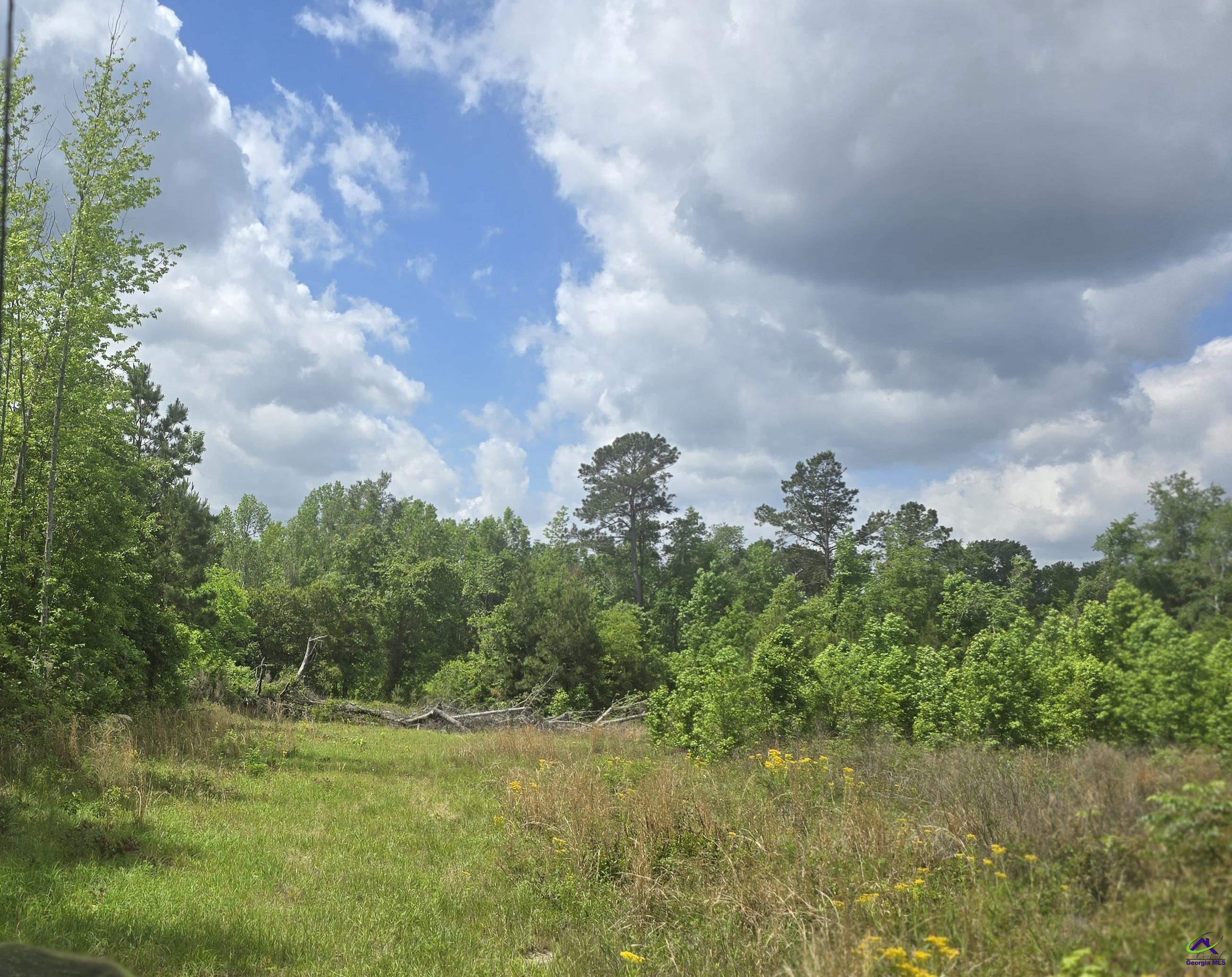 0 South S Highway Dublin, GA 31021 - Photo 8 of 13 a backyard of a house with lots of green space
