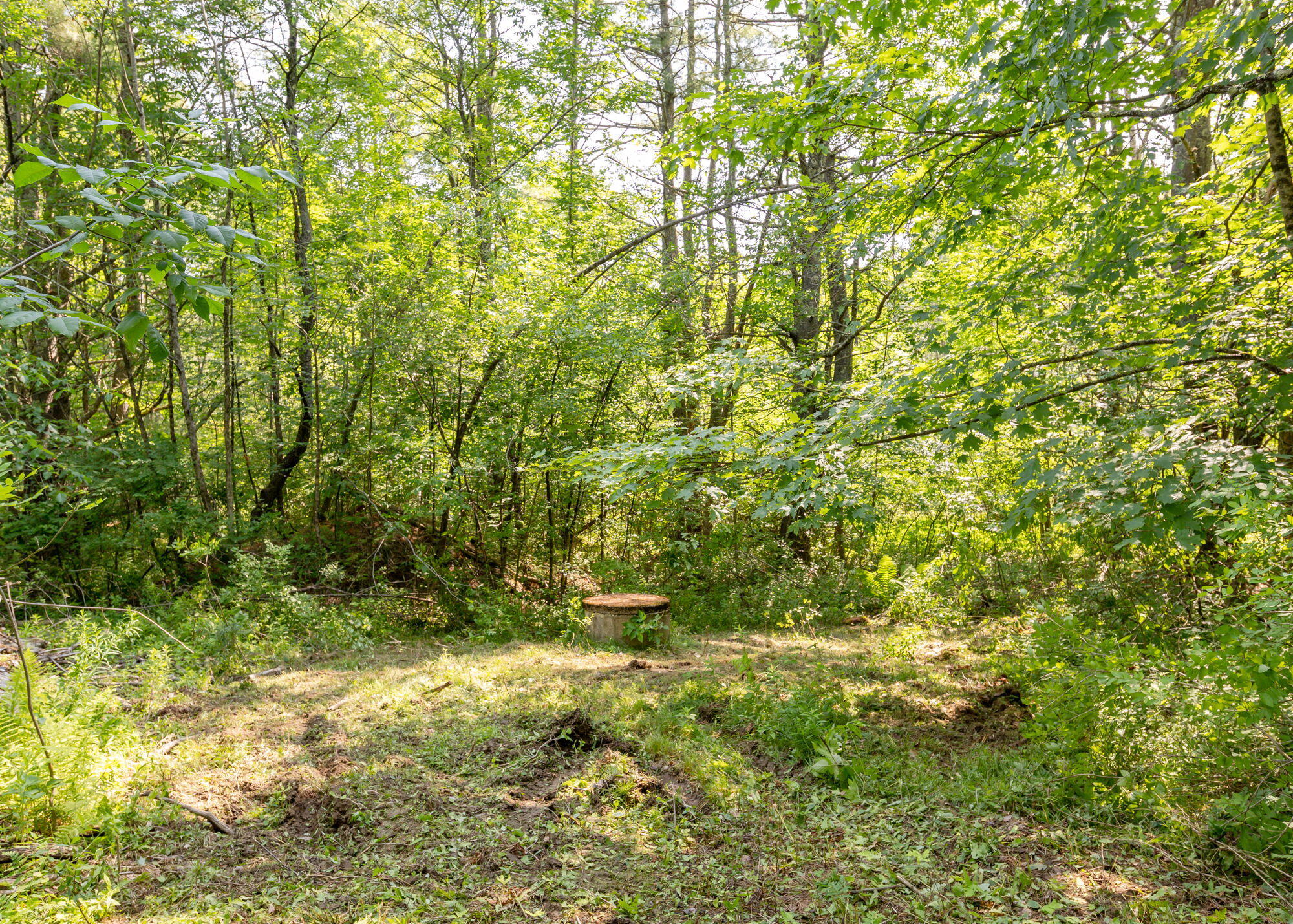 1326 Long Plains Road Buxton, ME 04093 - Photo 23 of 45 1326LongPlainsRd-Buxton-26