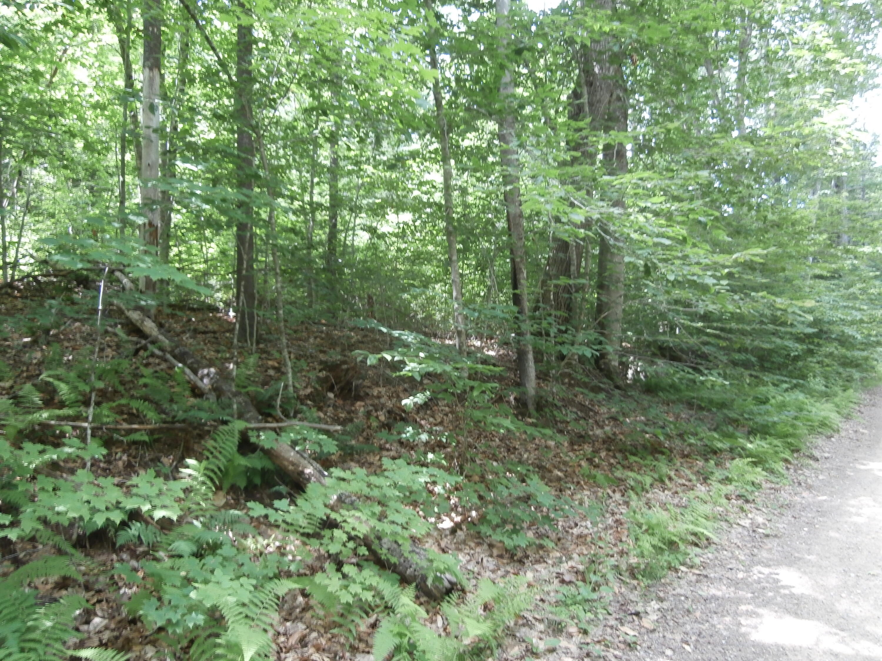 Lot 005 Hebo Hybo Road Acton, ME 04001 - Photo 1 of 5 P1010501