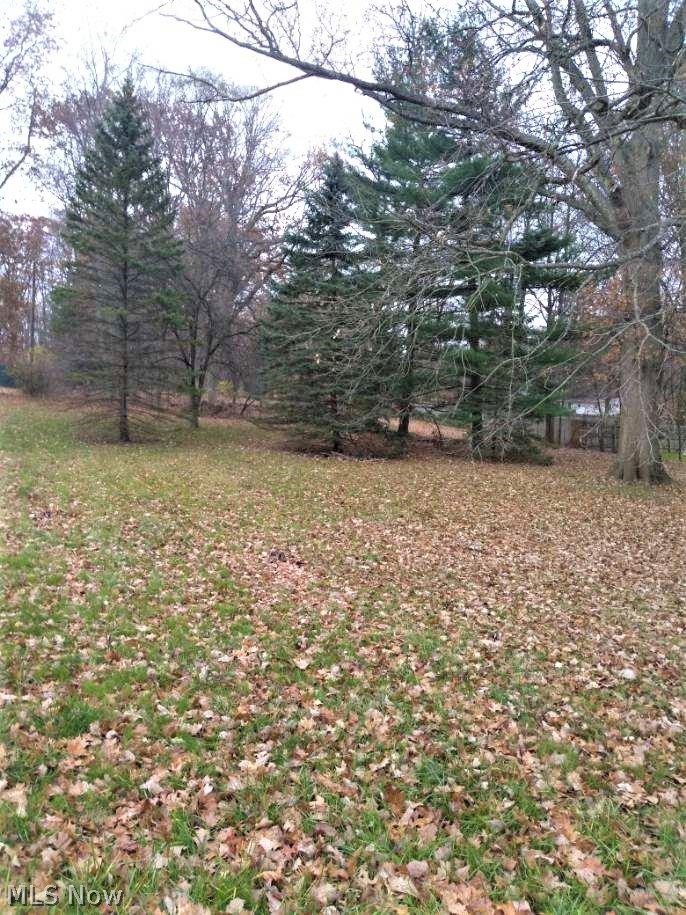 4061 Stow Road Stow, OH 44224 - Photo 4 of 6