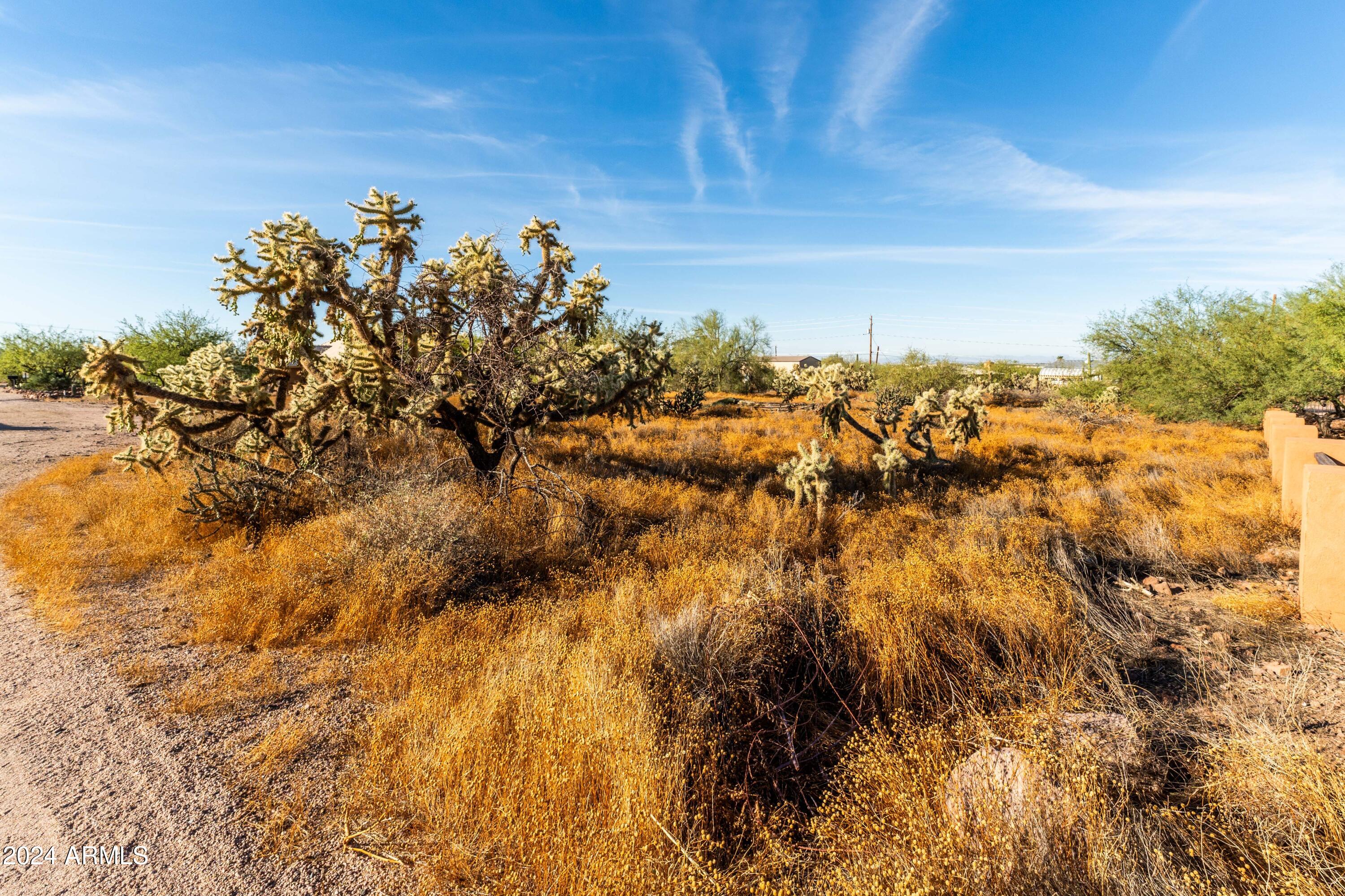0 South Holmes Road Apache Junction, AZ 85119 - Photo 10 of 10 10