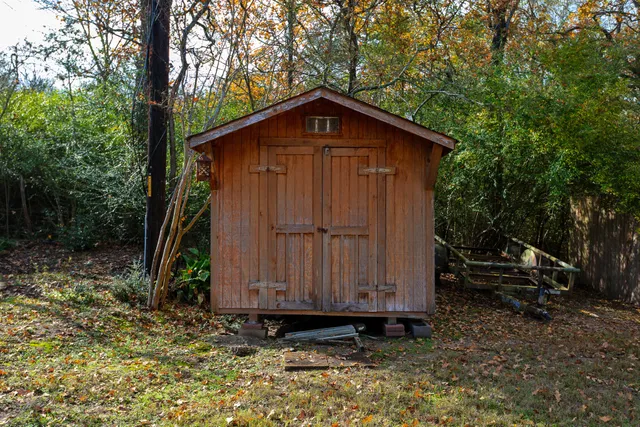 a view of a backyard with a large tree