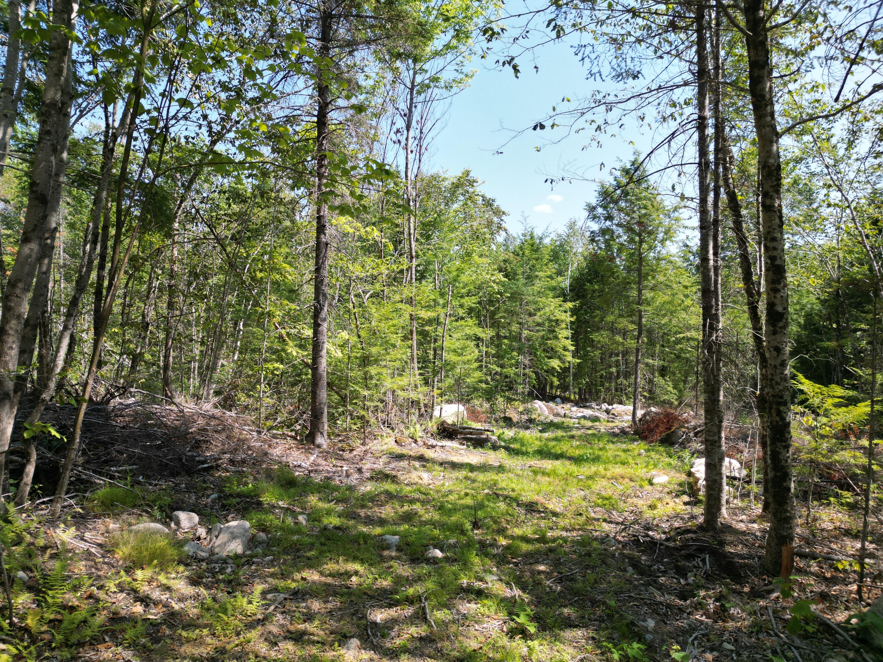 229 New Camp Road Lincoln, ME 04457 - Photo 16 of 21 DJI_0310