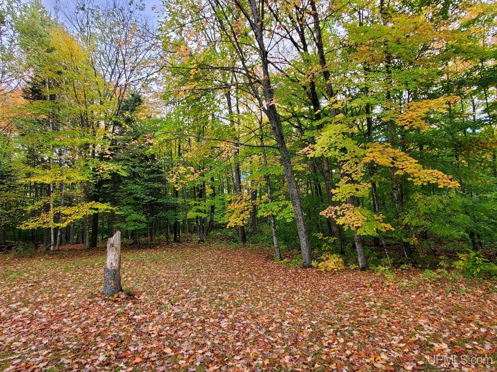 9896 South North Hulbert Road Hulbert, MI 49748 - Photo 17 of 22
