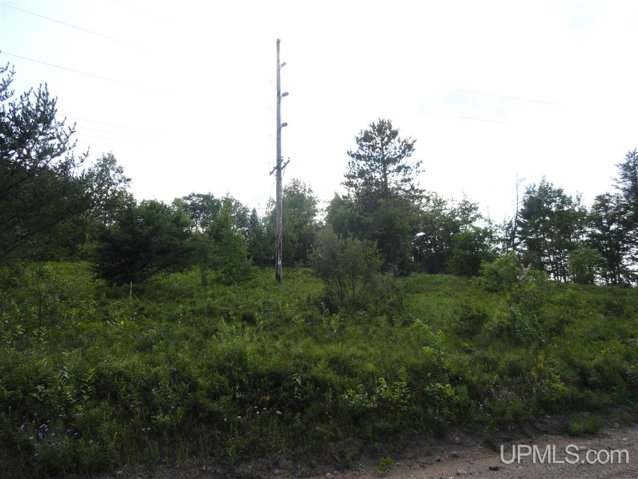 143-acres County Rd FF Republic, MI 49879 - Photo 4 of 18