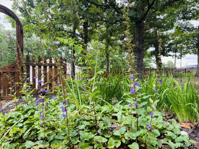 216 West Hickory Ridge Road Steelville, MO 65565 - Photo 15 of 72