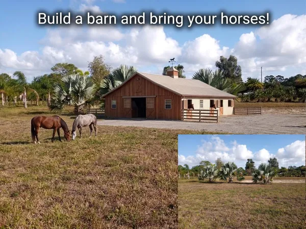 a view of a house with a yard and large tree