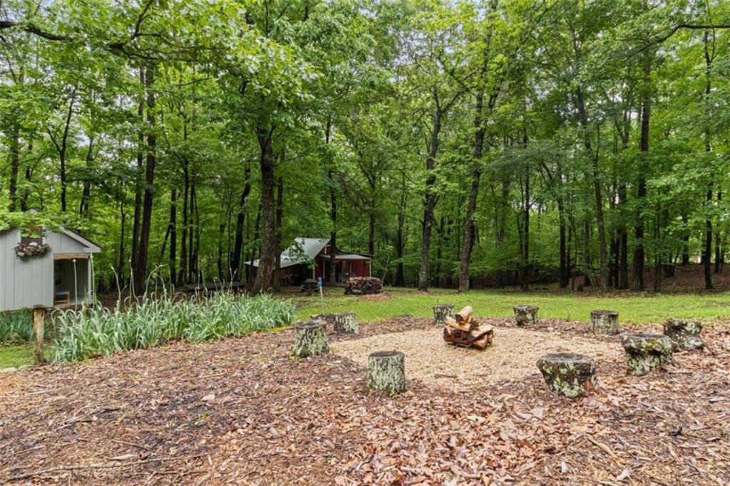219 Raven Cliff Road Talking Rock, GA 30175 - Photo 55 of 77