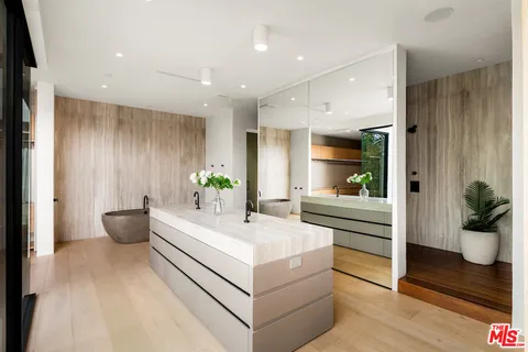 a large white room with a potted plant