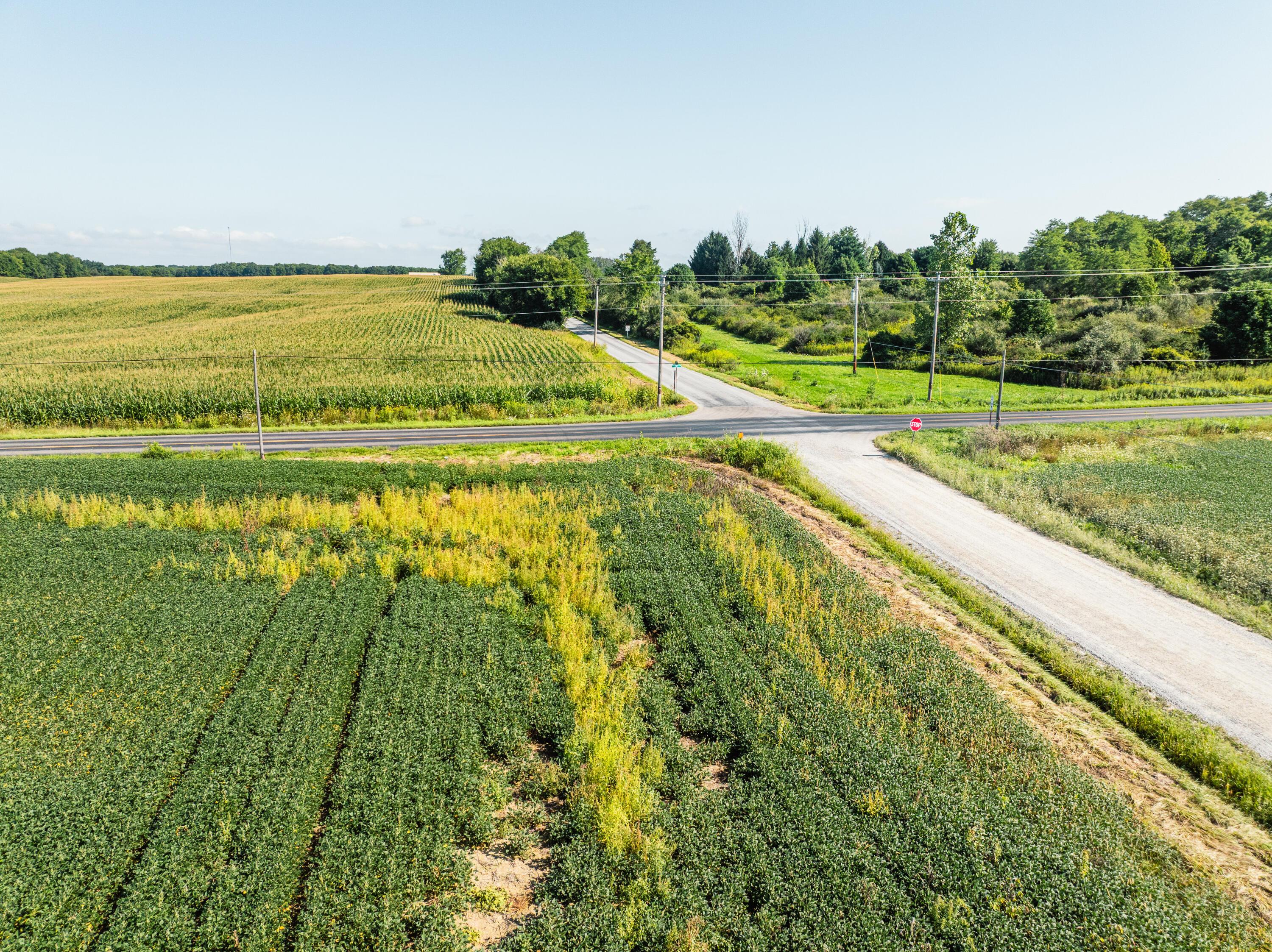 0 Sycamore Road Centerburg, OH 43011 - Photo 41 of 69 DJI_20260827153026_0834_D