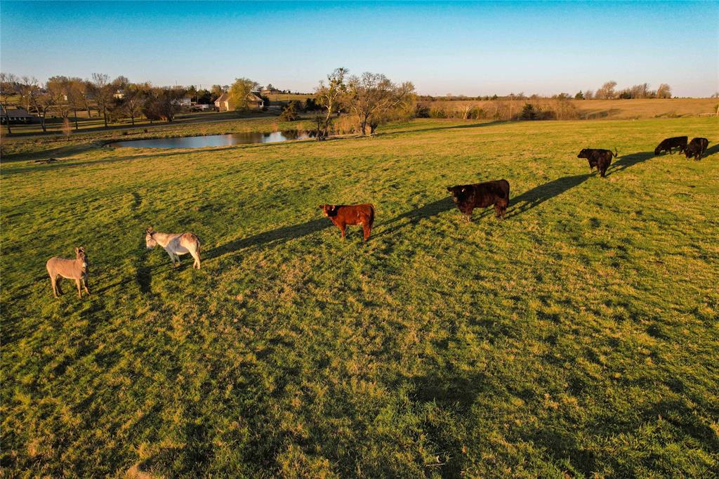 Tbd Bennett Road Howe, TX 75459 - Photo 5 of 9 a view of an ocean and beach
