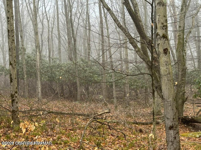 Lookout Point Road Canadensis, PA 18325 - Photo 3 of 13 a backyard of a house