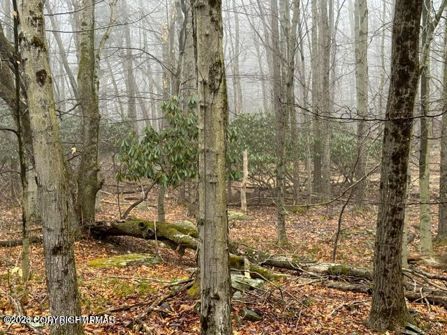 Lookout Point Road Canadensis, PA 18325 - Photo 4 of 13 a bathroom with a shower