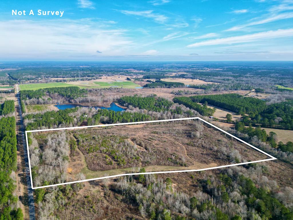 0 Hilt Fornea Road Poplarville, MS 39470 - Photo 1 of 1 Main View