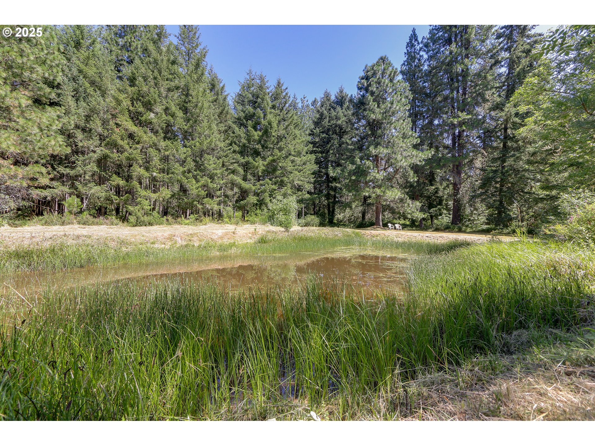 25454 Perkins Road Veneta, OR 97487 - Photo 26 of 32