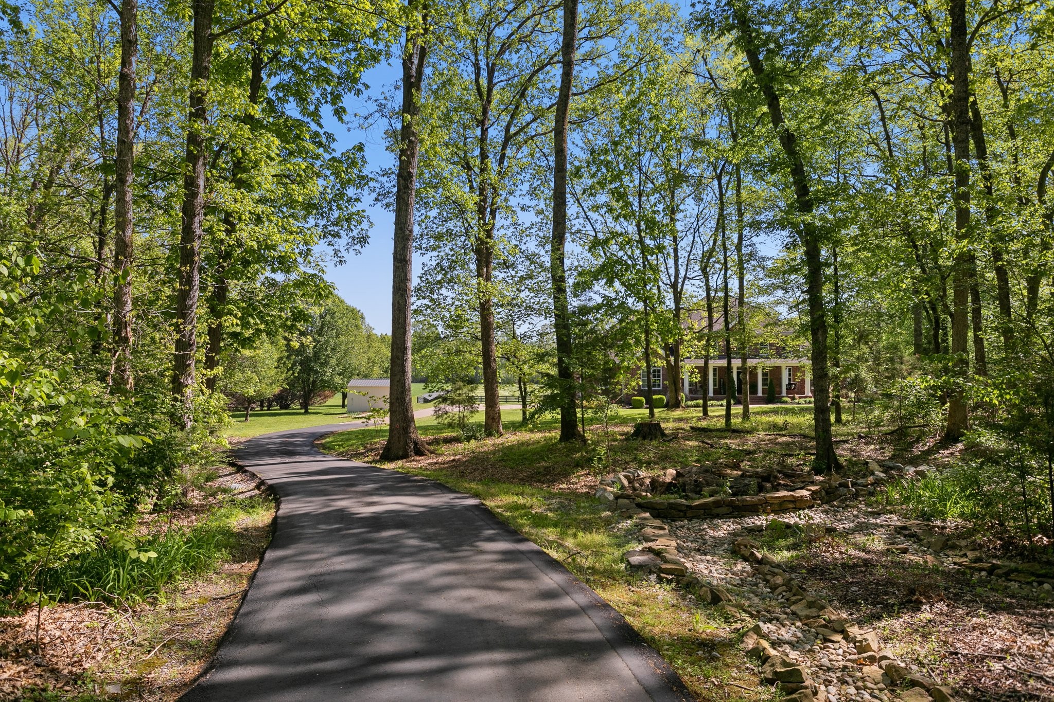 4360 Arno Road Franklin, TN 37064 - Photo 15 of 24 a view of a yard with plants and trees